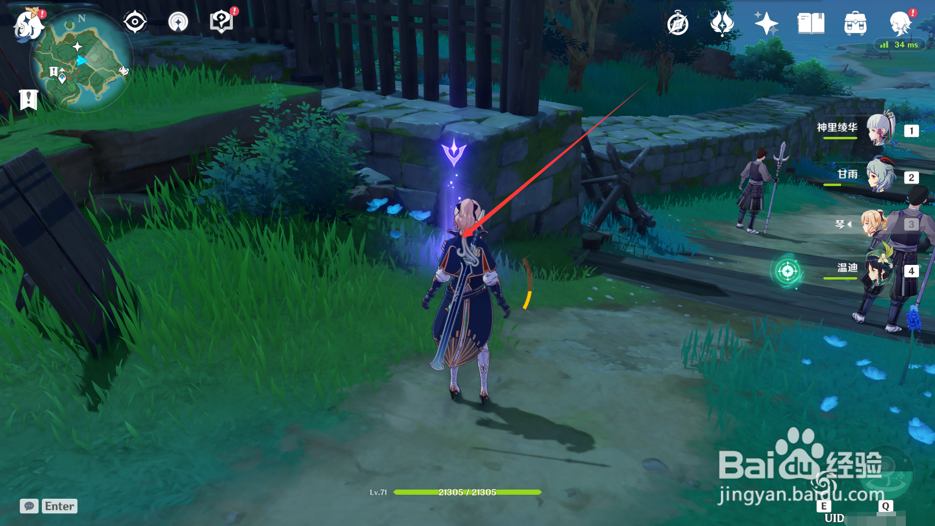 稻妻观景点五的位置。