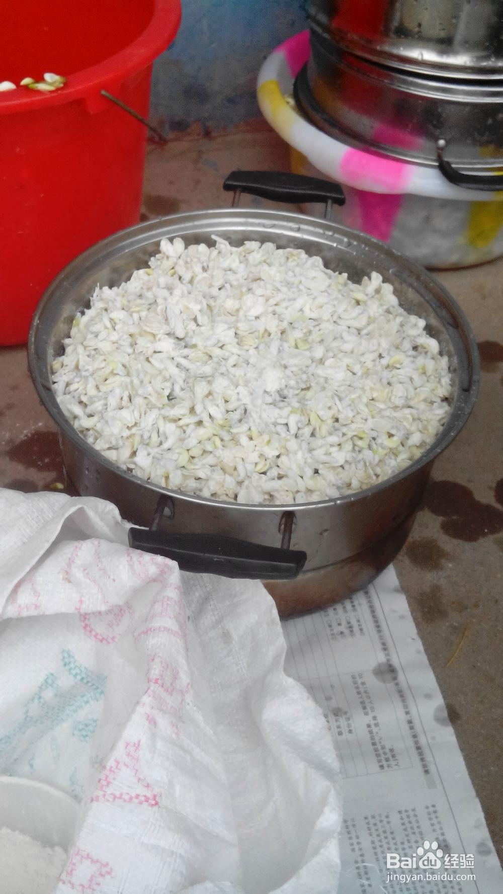 怎样用洋槐花做蒸菜