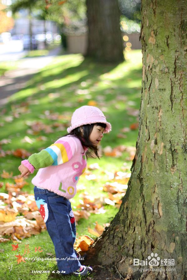温哥华秋意的乐园，舞动的精灵(组图)