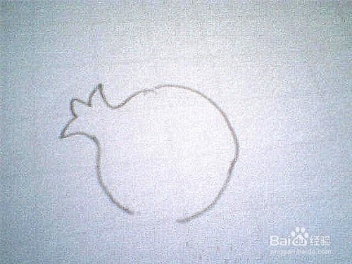 简笔画石榴的画法