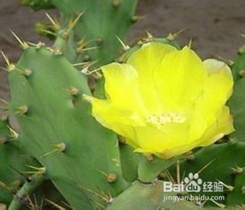 指甲被挤有淤血怎么办？