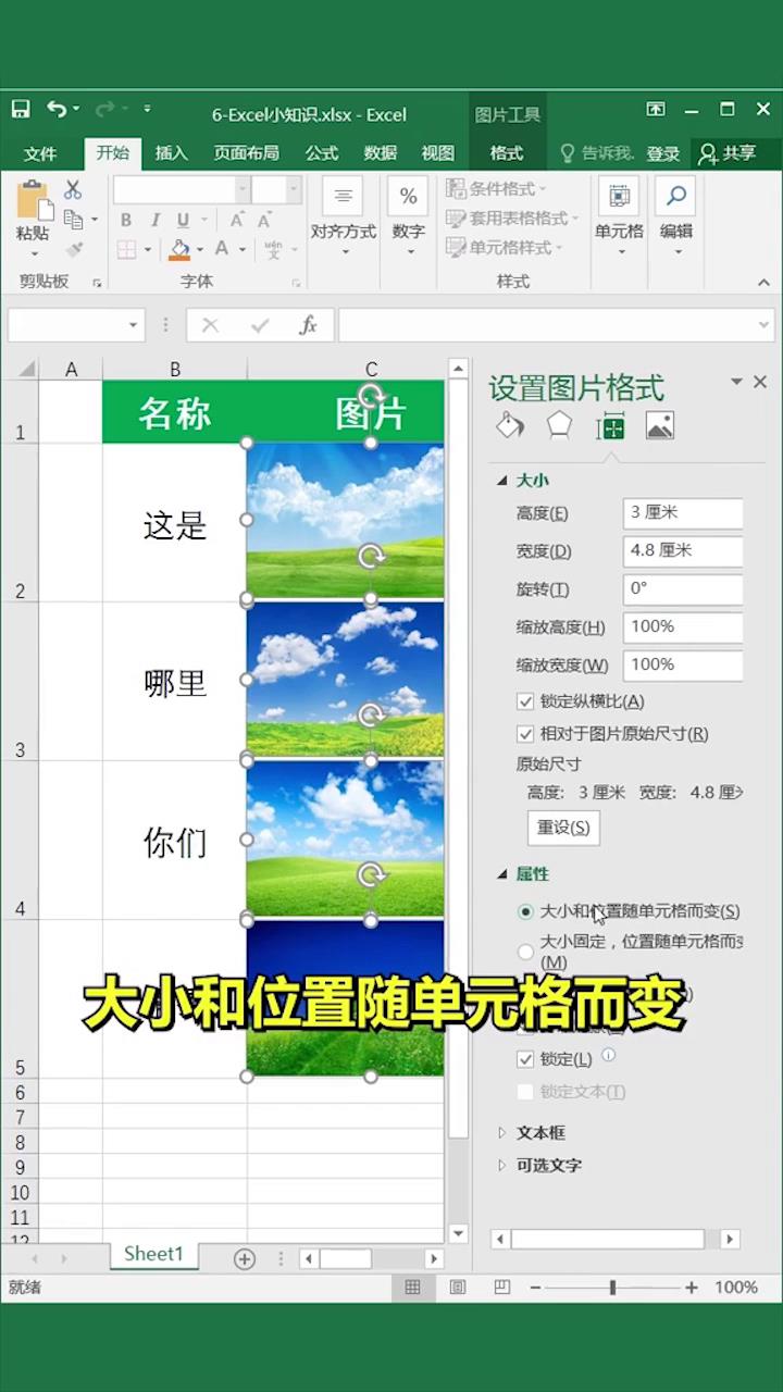 Excel怎么让图片随单元格变化