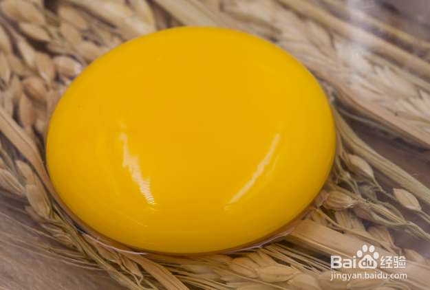 吃哪些食物对孩子的眼睛好