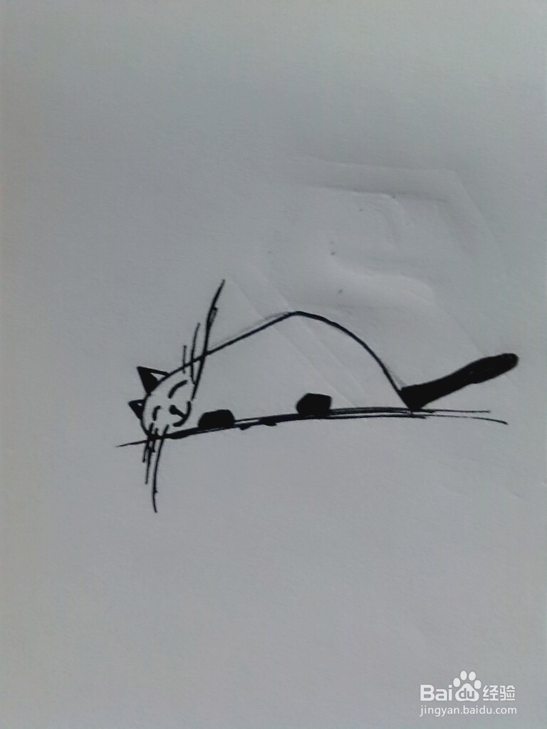 如何简单快速的画小猫的简笔画