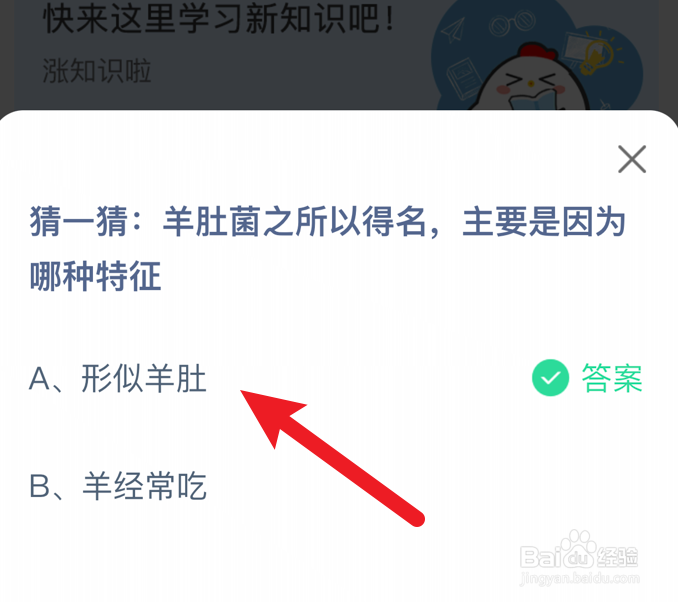 羊肚菌之所以得名,主要是因为蚂蚁庄园
