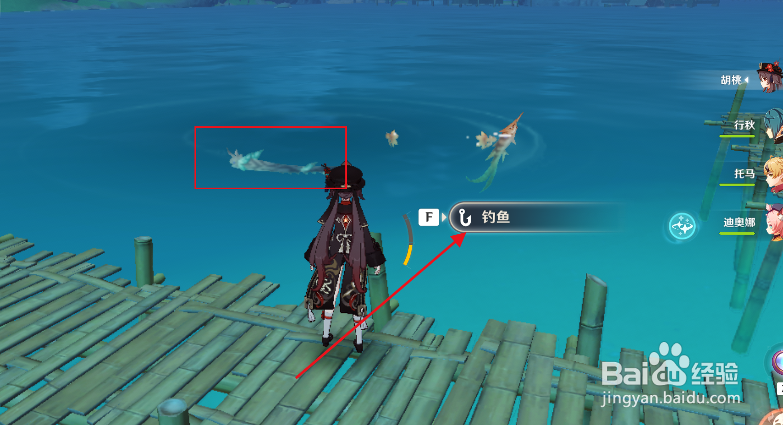 原神在哪里可以找到鱼类“锖假龙”？