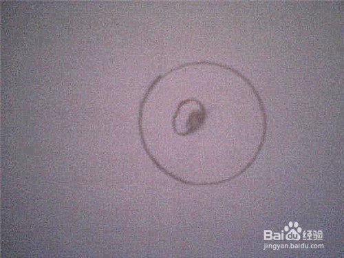 简笔画小鸟的画法：