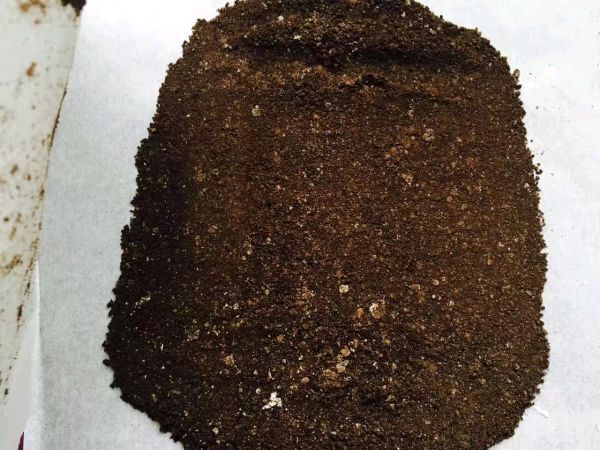 简单易学木糠杯