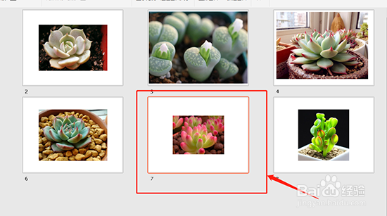如何调整PPT幻灯片的顺序