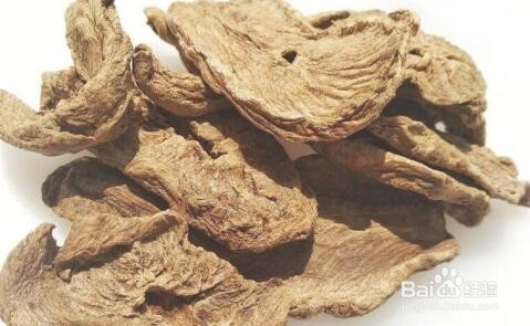 养肝护肝喝什么茶最好