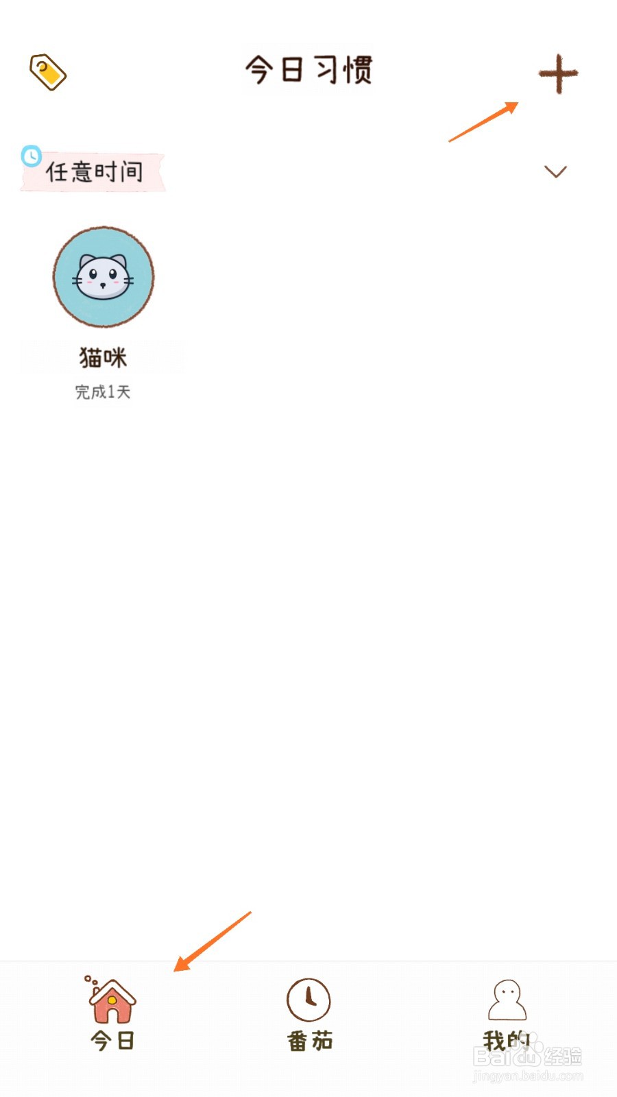 喵日常中怎么建立早睡习惯