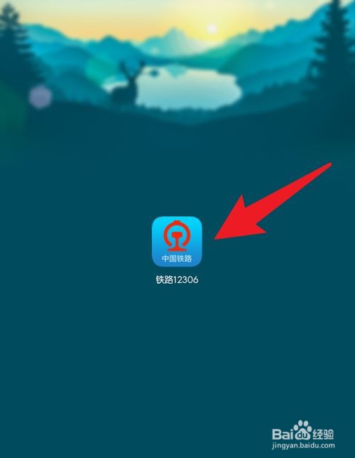 铁路12306查看高铁携带物品须知方法