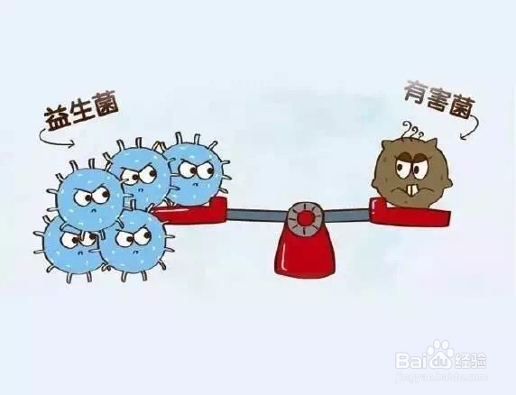 科普宝宝拉肚子能吃益生菌调理吗