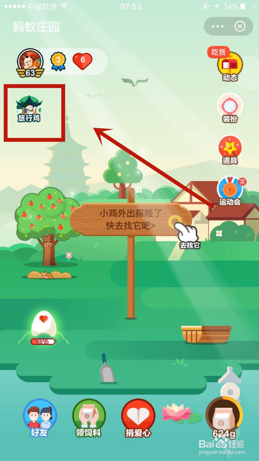 如何玩转蚂蚁庄园中的旅行鸡功能