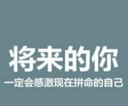 web前端开发学习新人路线