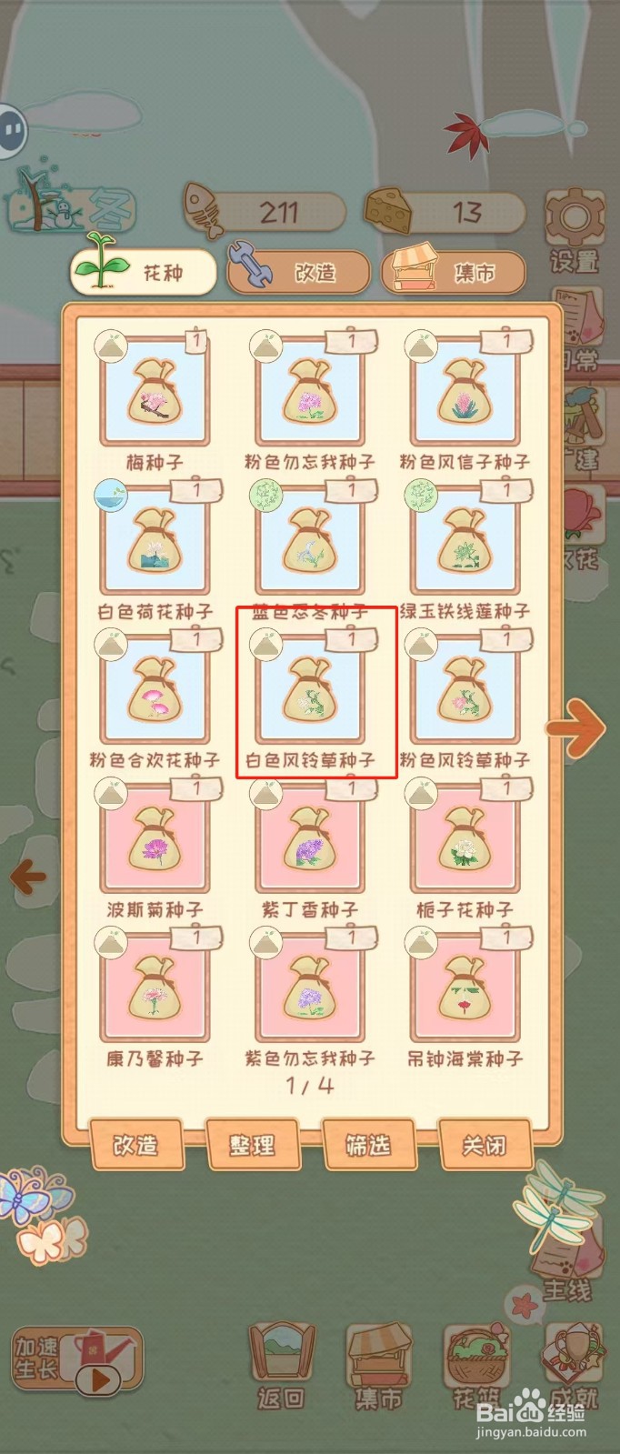 花店物语如何查看白色风铃草种子的生长环境