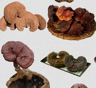 脱髓鞘能活多久？