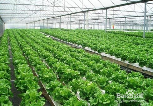 农业物联网大棚环境无线和有线监控系统的区别