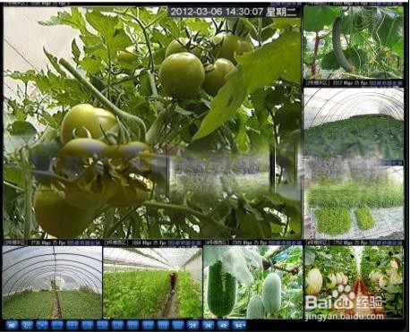 智能农业物联网数字和图像监控系统的应用分析