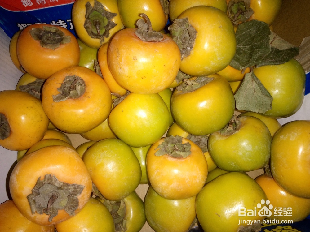 青柿子要怎么快速催熟