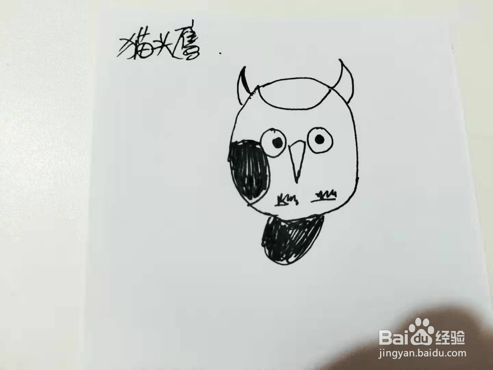 卡通猫头鹰简笔画怎么画呢
