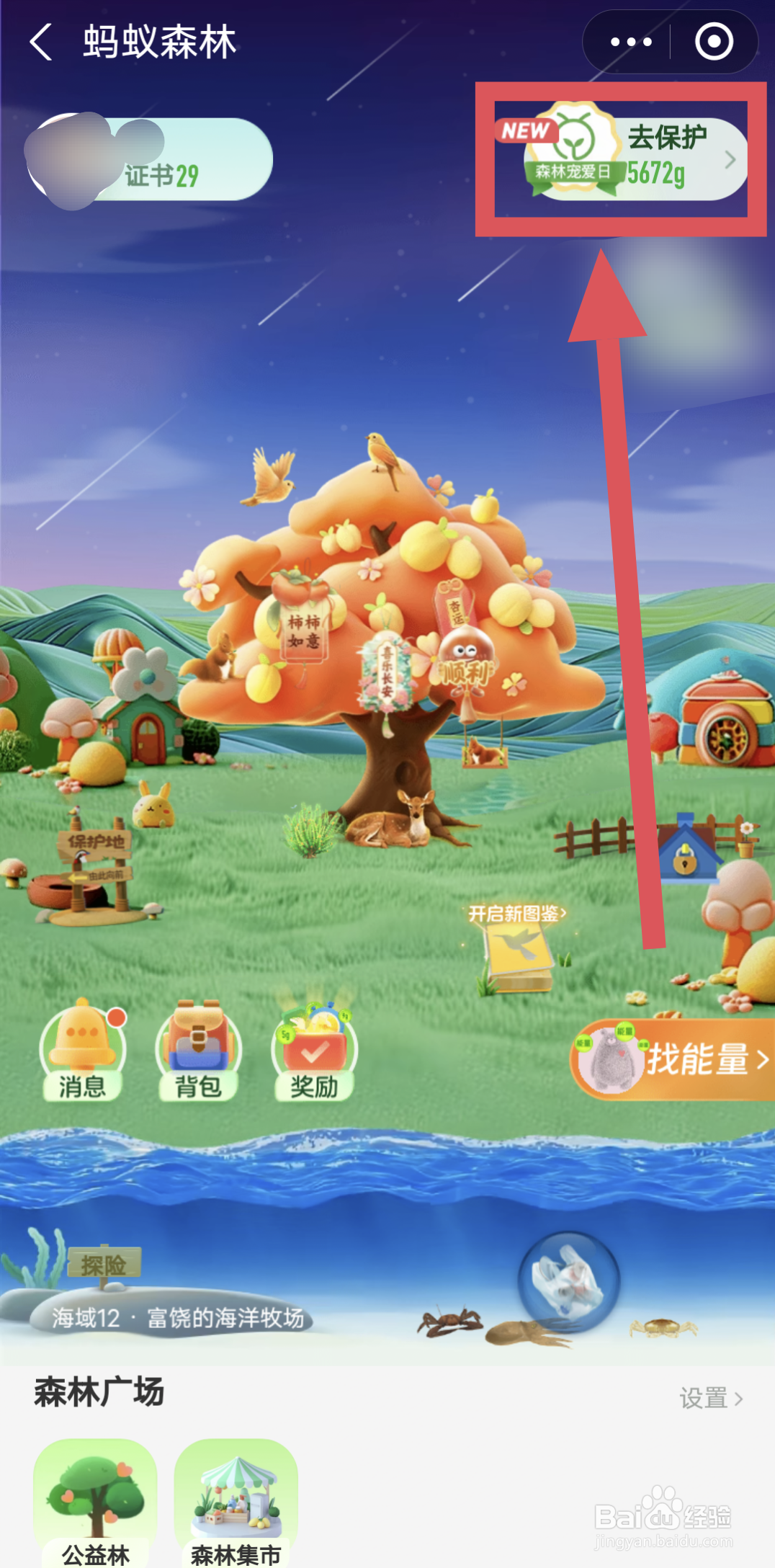 蚂蚁森林怎么获得现金红包