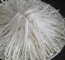 怎么做油泼金针菇