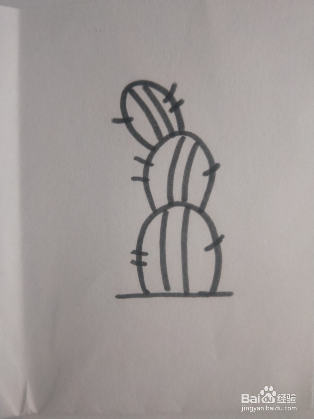 仙人掌的简笔画教程