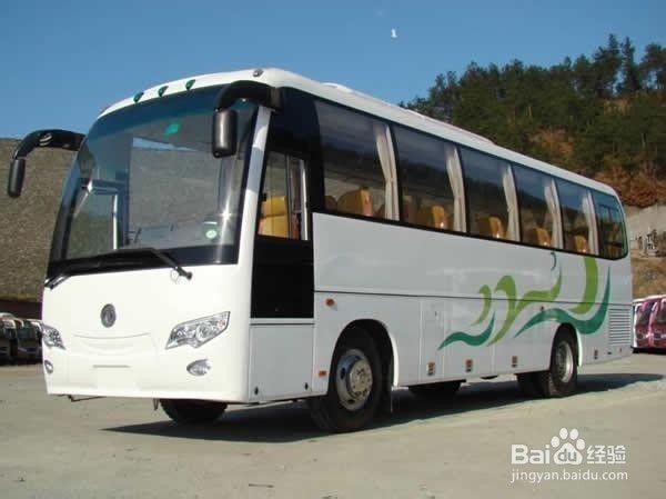 春运购买汽车票攻略大全