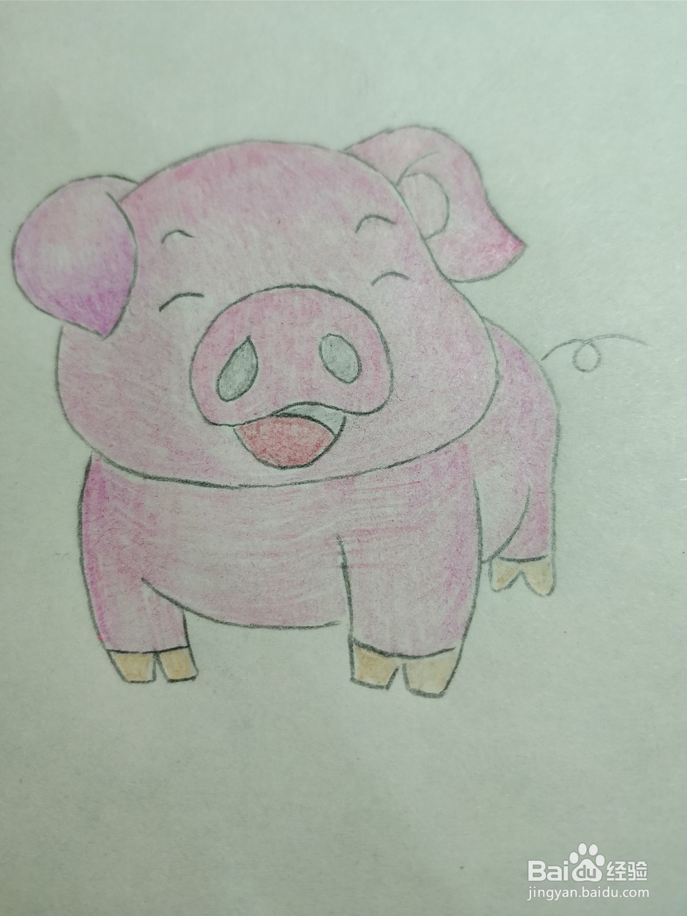 怎么画简笔画小猪