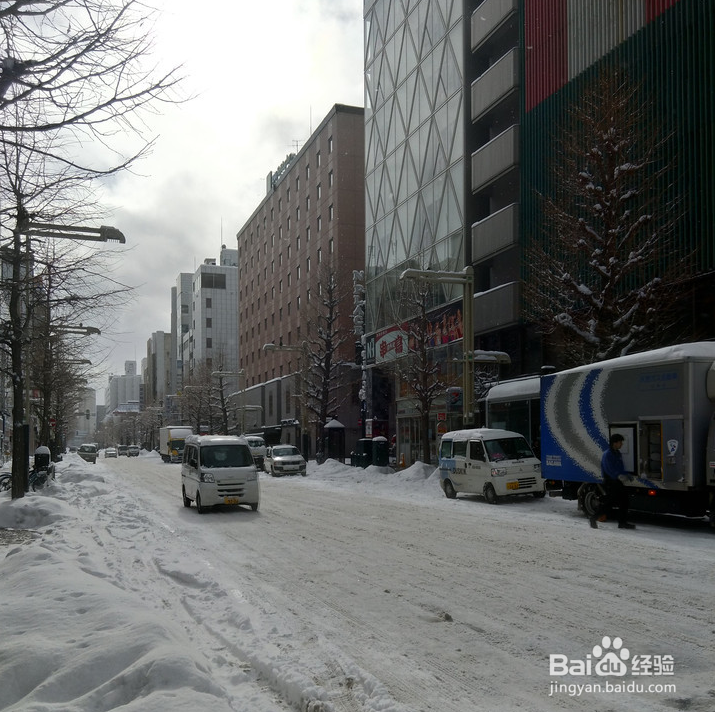 一条性价比爆棚的万元以下日本北海道观雪路线