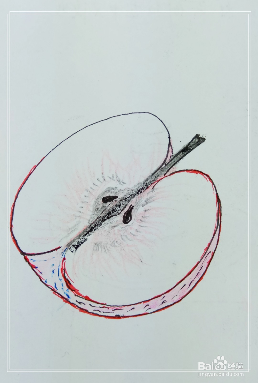 怎样画简笔画“半个苹果”？