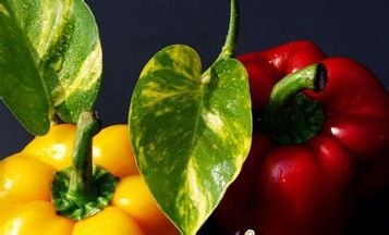 回南天防潮祛湿的方法