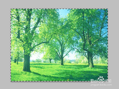 如何使用PS贴入图片到另一图层