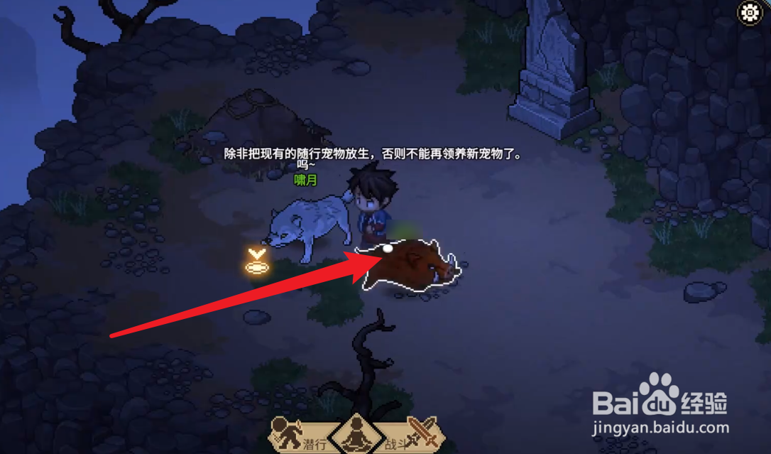 大侠立志传怎么放生宠物