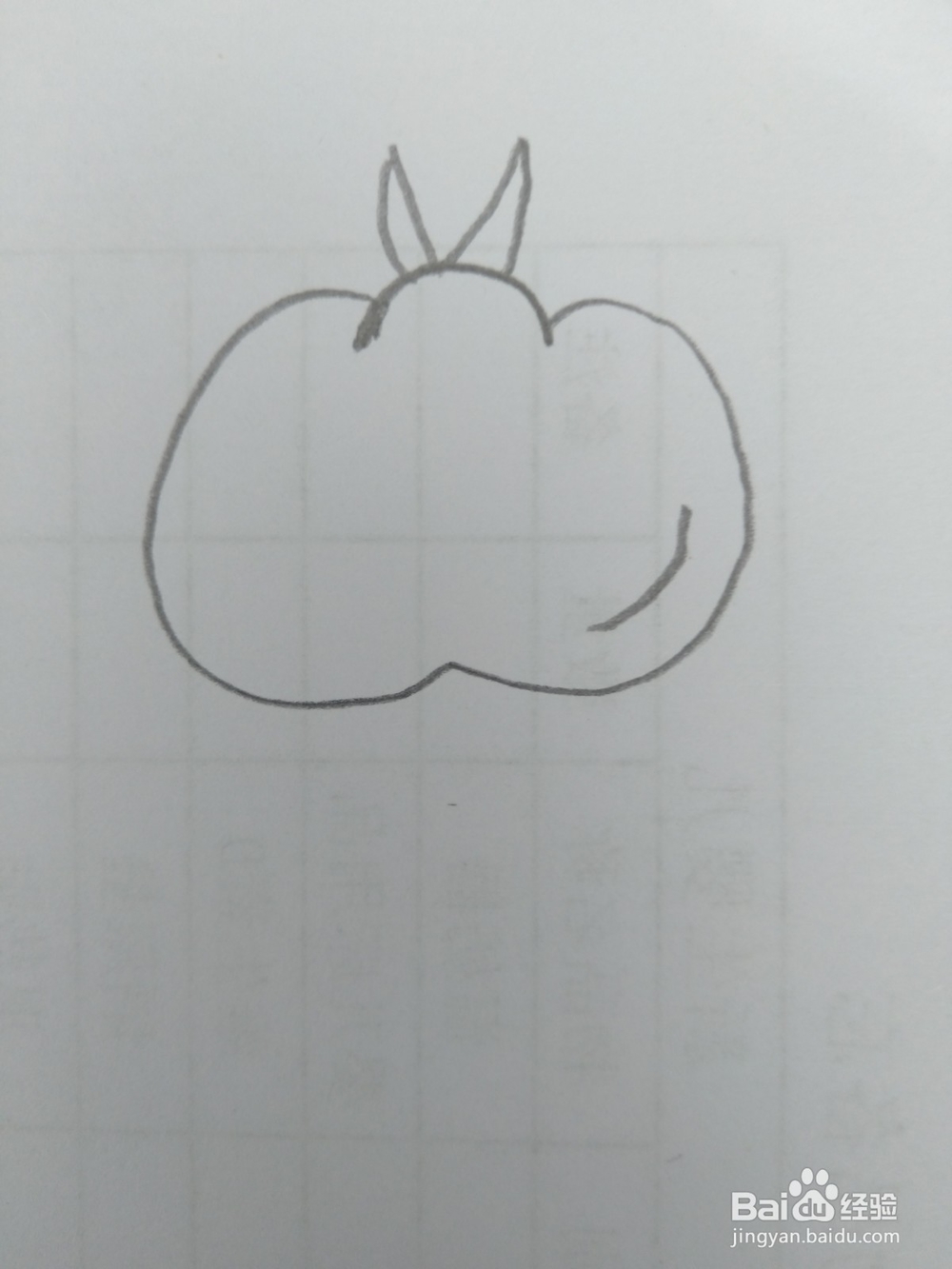 简笔画柿子画法四