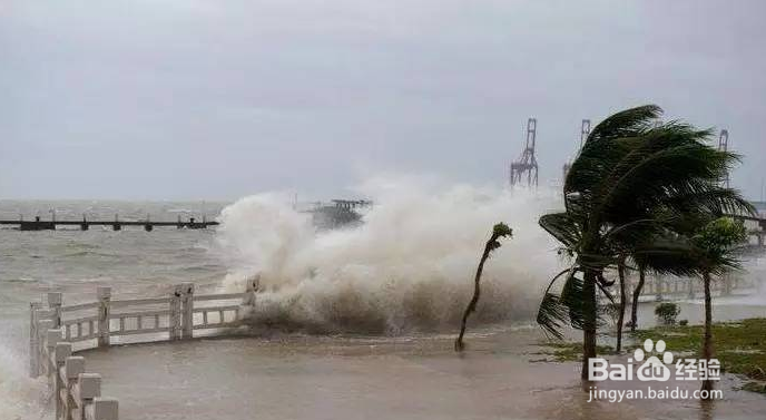 为什么广东气候不养人