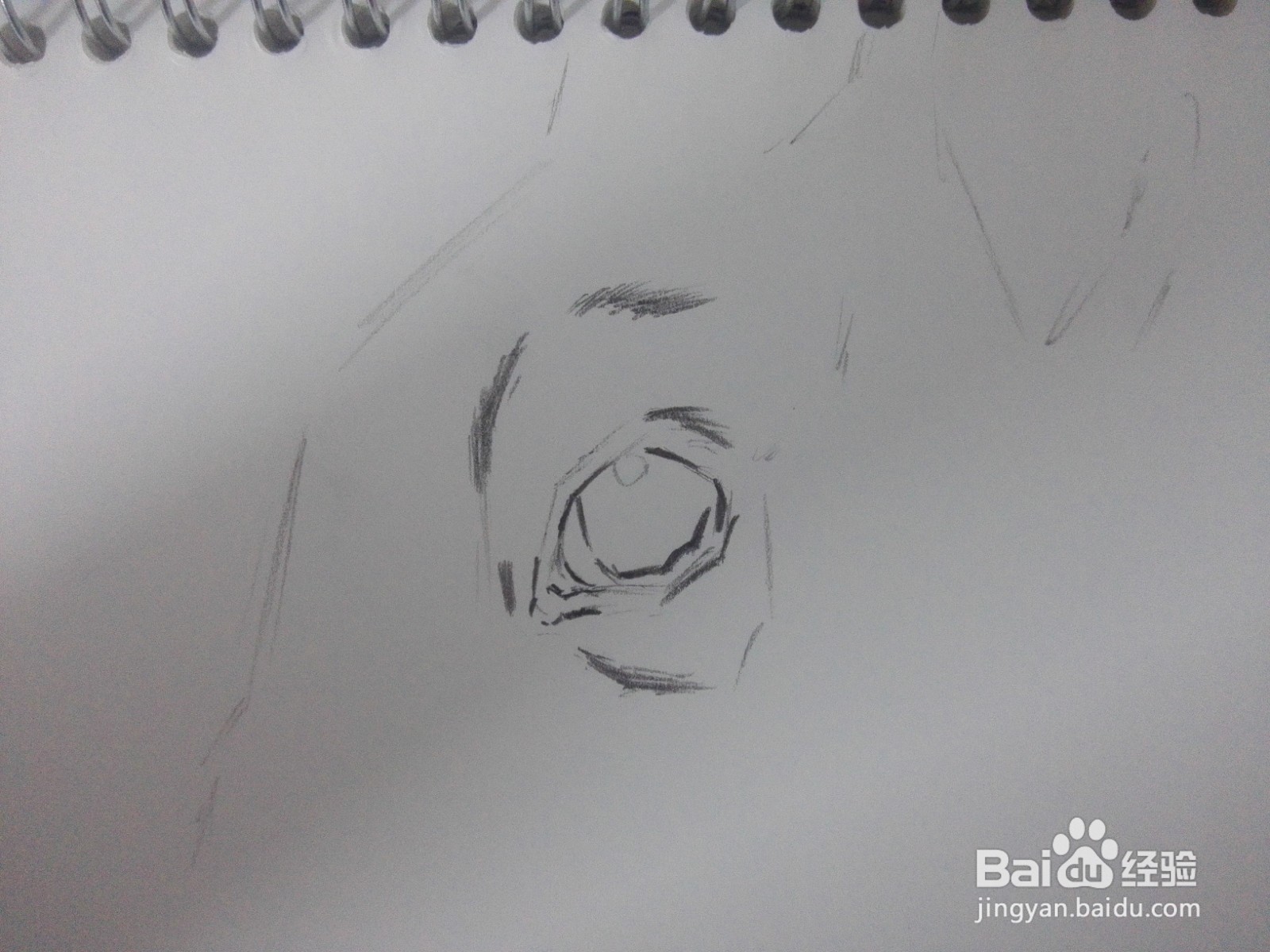 兔子的眼睛怎么画