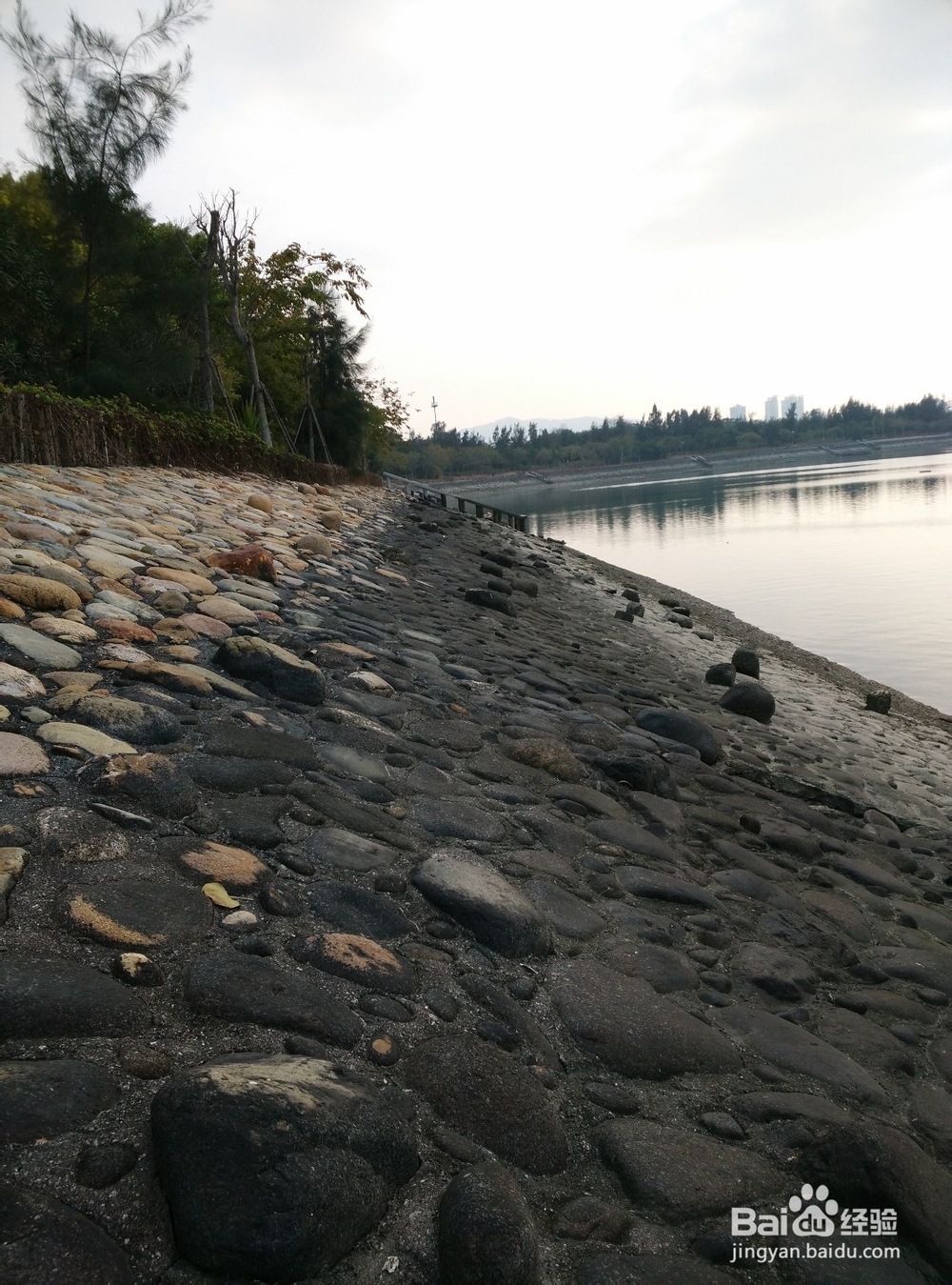五缘湾湿地公园旅行攻略