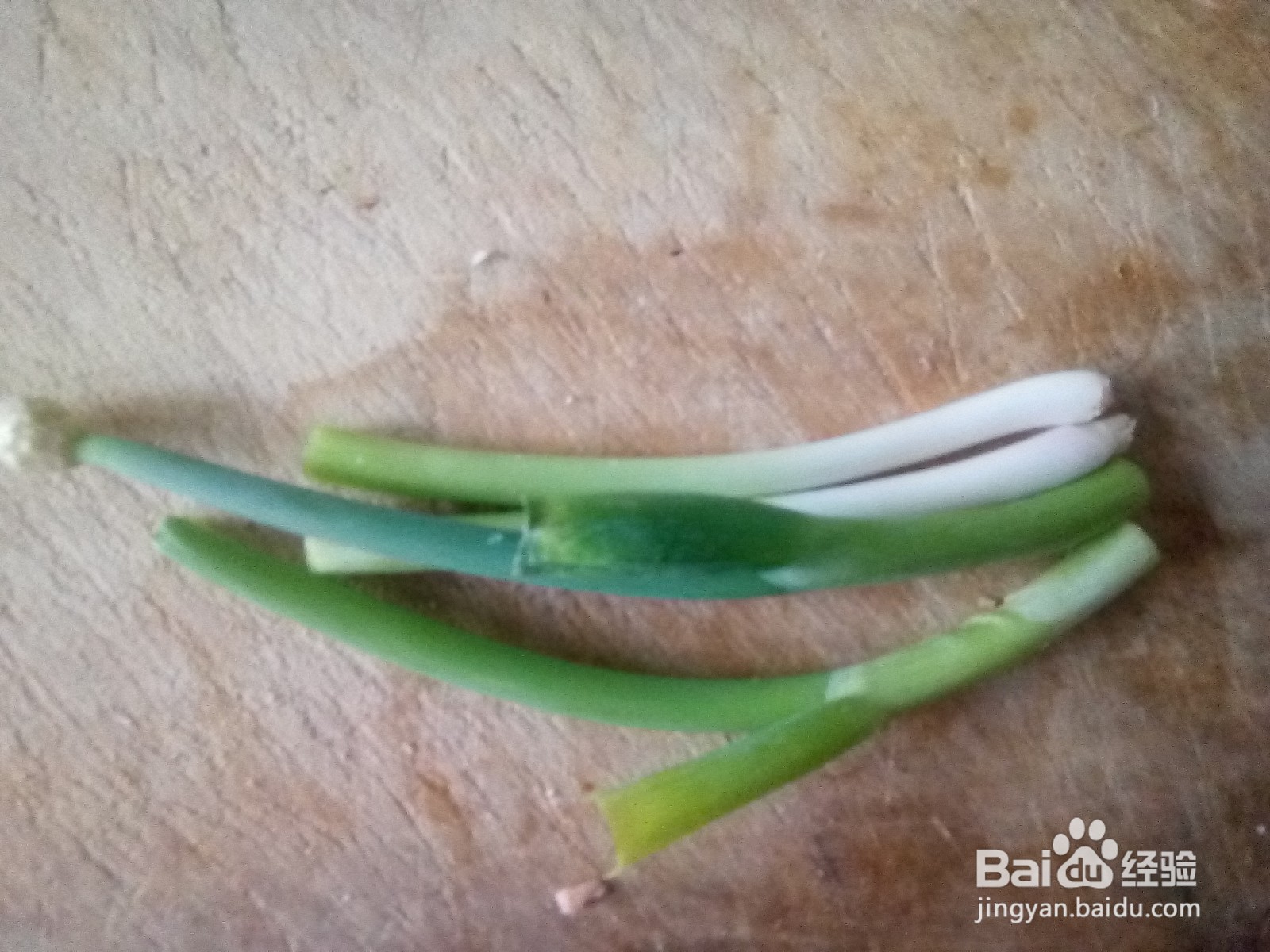 茼蒿炒松仁小肚