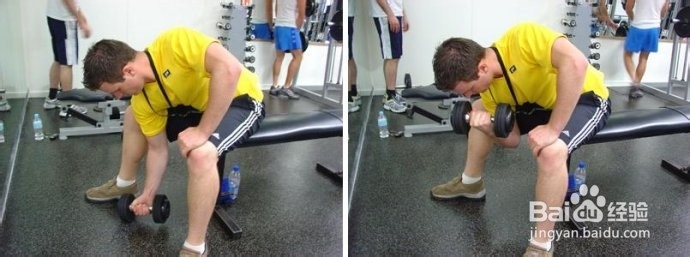 肱二头肌训练——集中弯举（图解+视频）