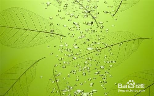 怎样引导人们关注心理健康，提高生活质量？