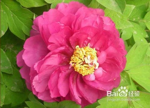 北京到广西旅游注意事项