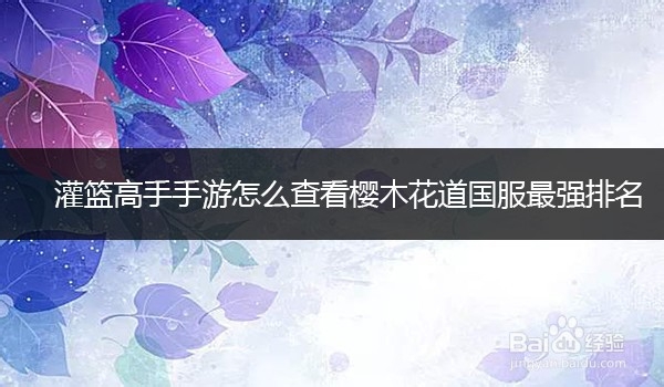 灌篮高手手游怎么查看樱木花道国服最强排名
