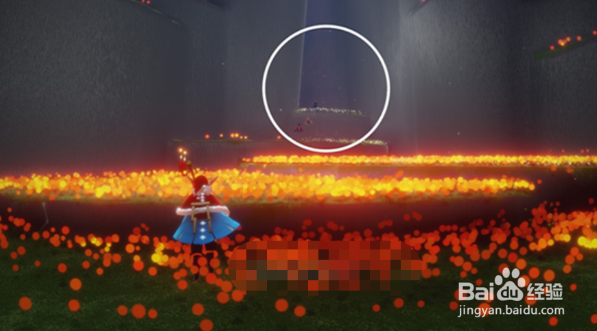 光遇办公室周年庆位置在哪