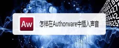 怎样在Authorware中插入声音