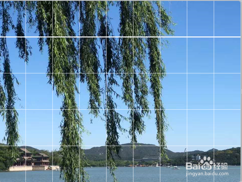 实例演示ppt表格做图！