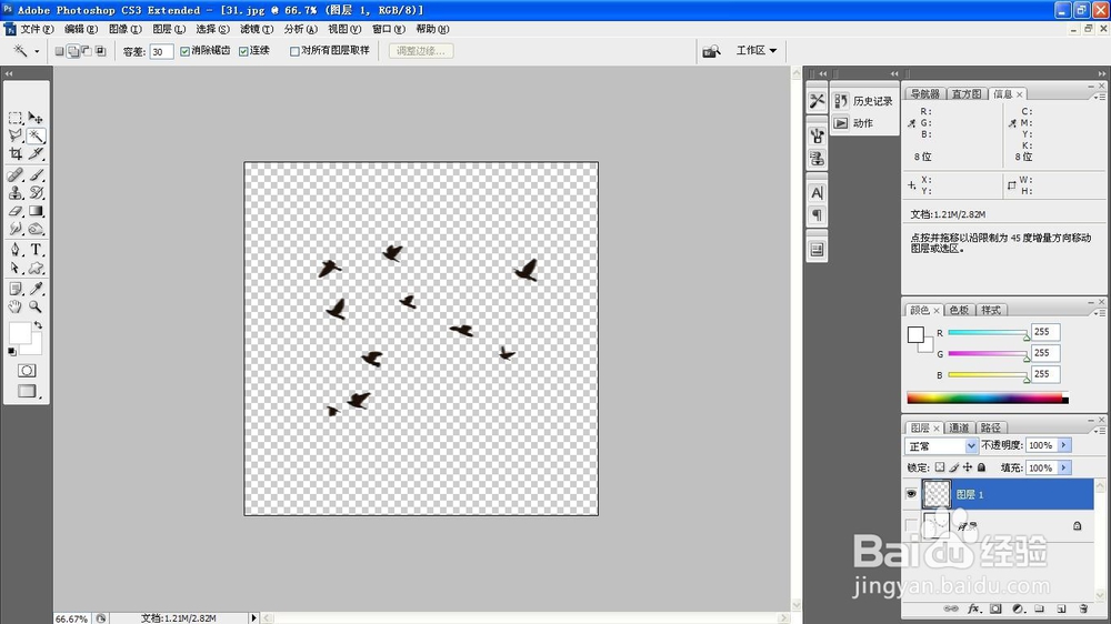 如何用PS软件自定义画笔呢