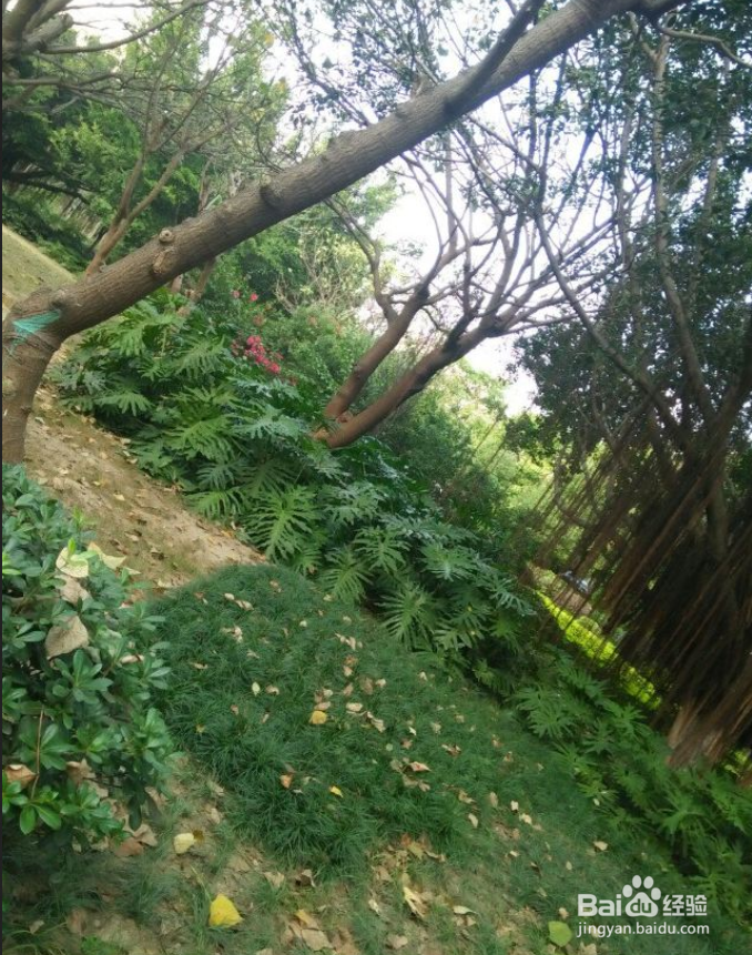 石狮有什么好玩的地方