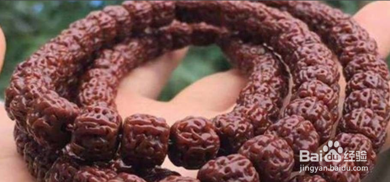 金刚菩提子正确刷法